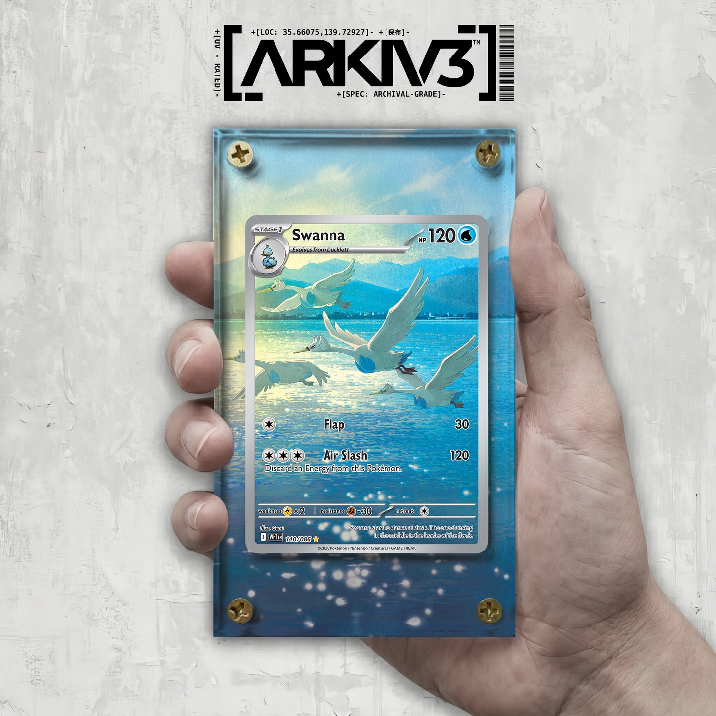 [UNIT: 110/86] // Swanna Extended Art Display Case - Raw