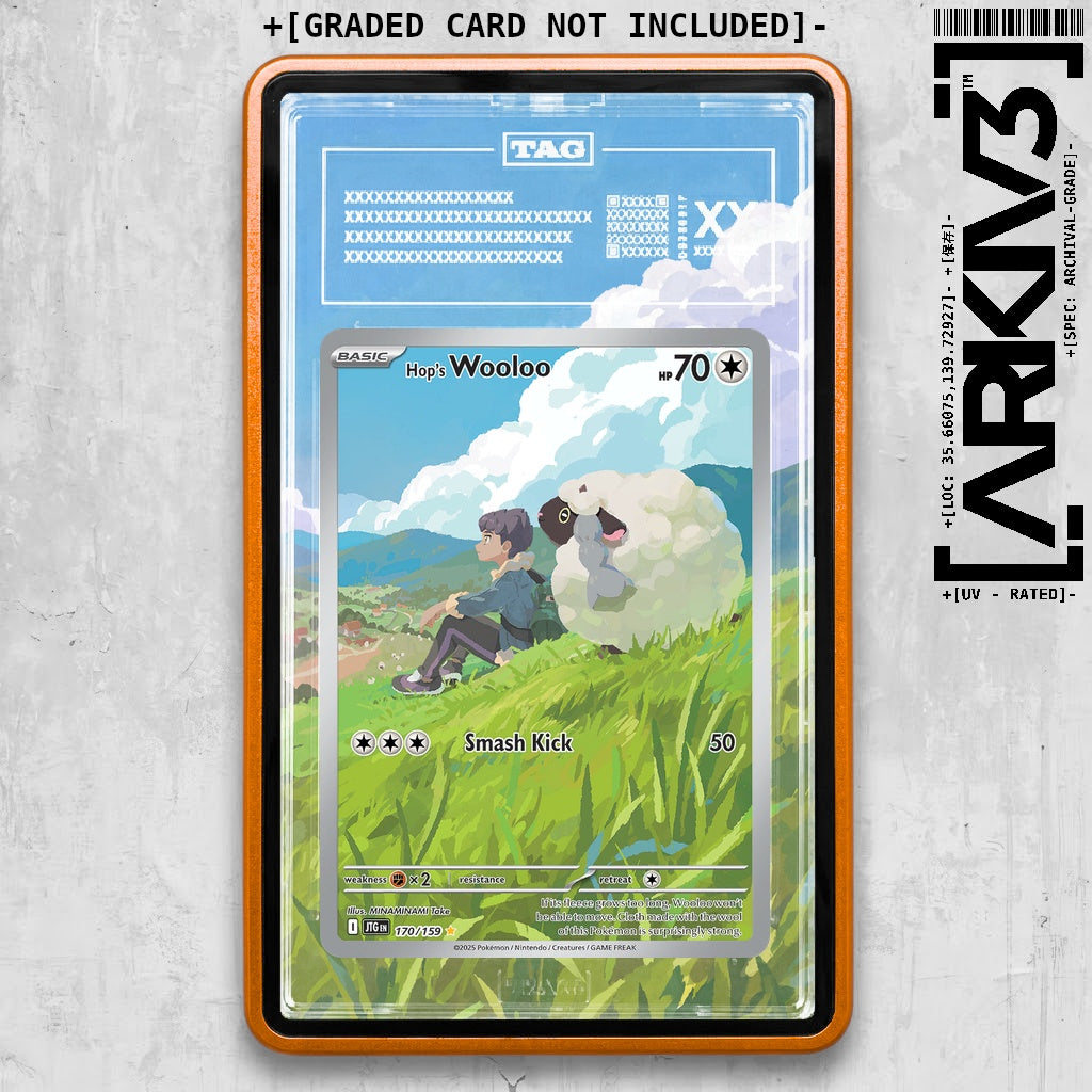 ARKIV3 TAG graded front - Orange