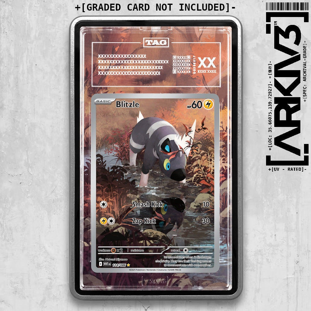 ARKIV3 TAG graded front - Silver