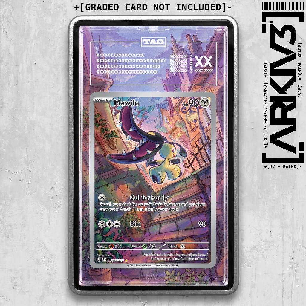 ARKIV3 TAG graded front - Silver