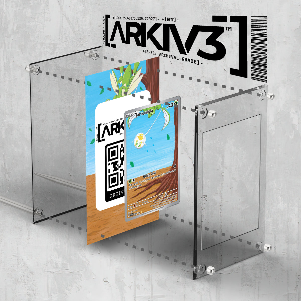 [UNIT: 199/198] // Tarountula Extended Art Display Case - Raw