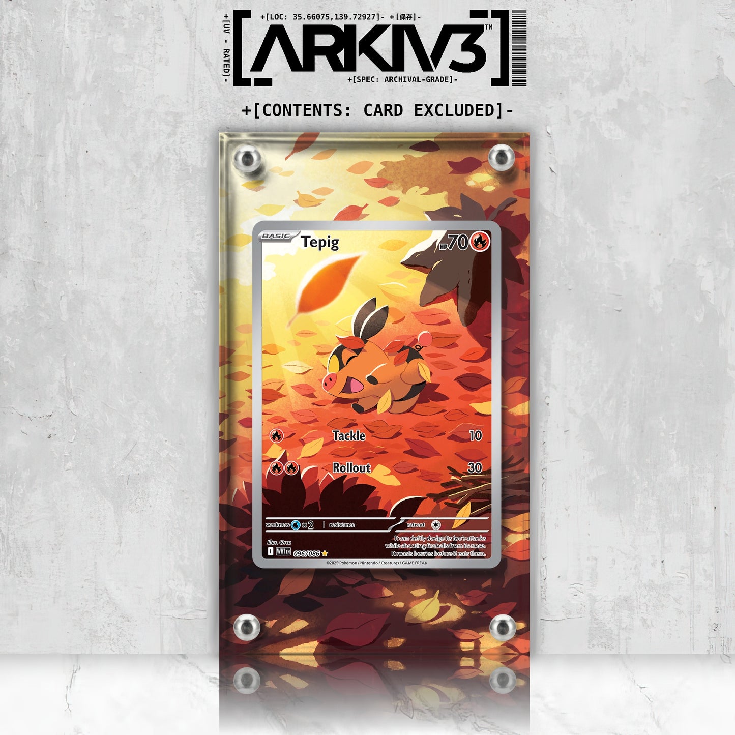 [UNIT: 96/86] // Tepig Extended Art Display Case - Raw