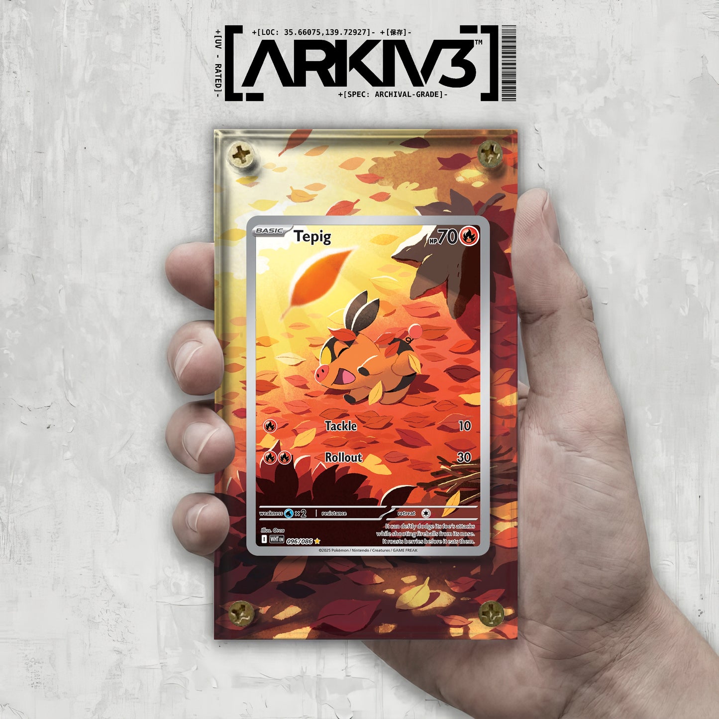[UNIT: 96/86] // Tepig Extended Art Display Case - Raw