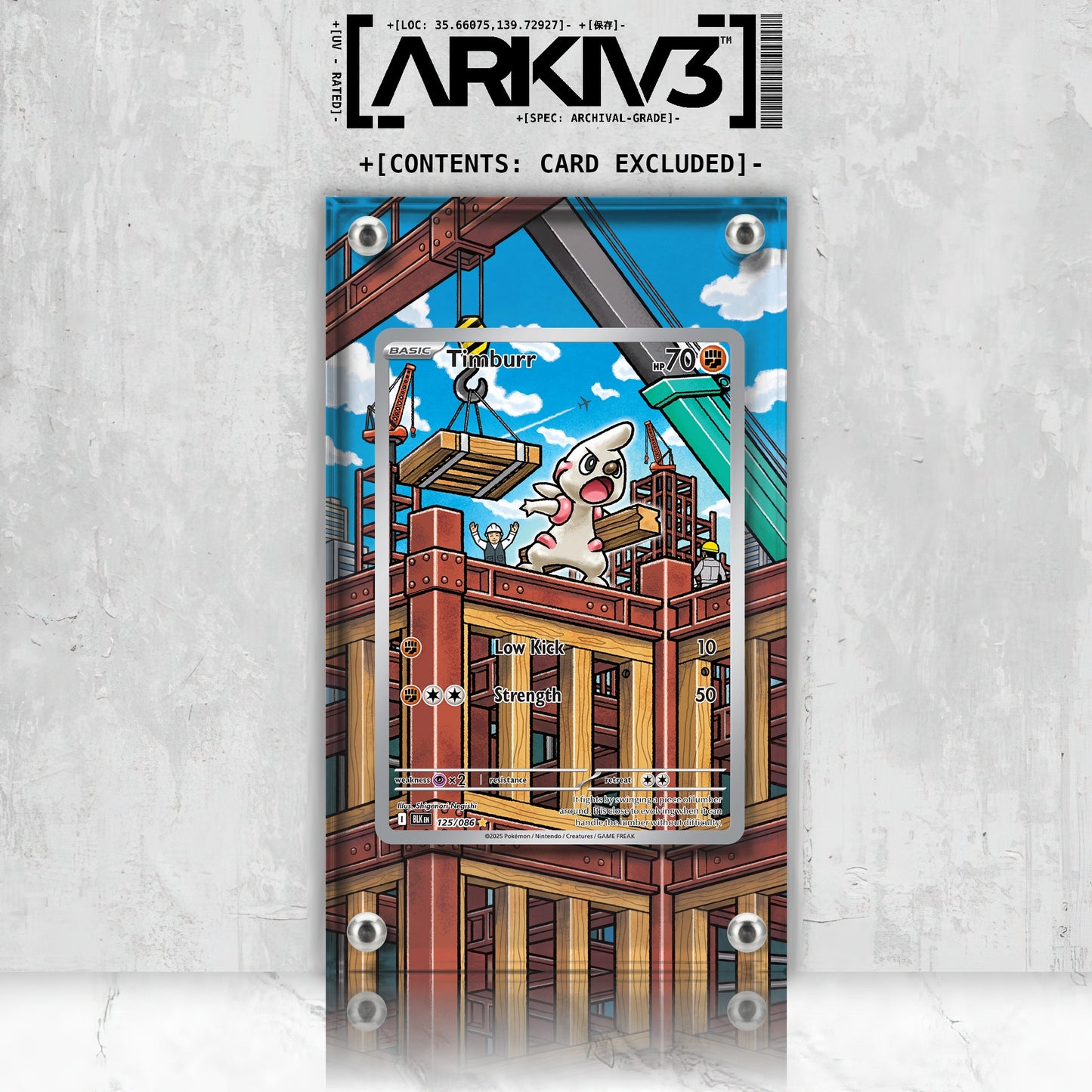 [UNIT: 125/86] // Timburr Extended Art Display Case - Raw