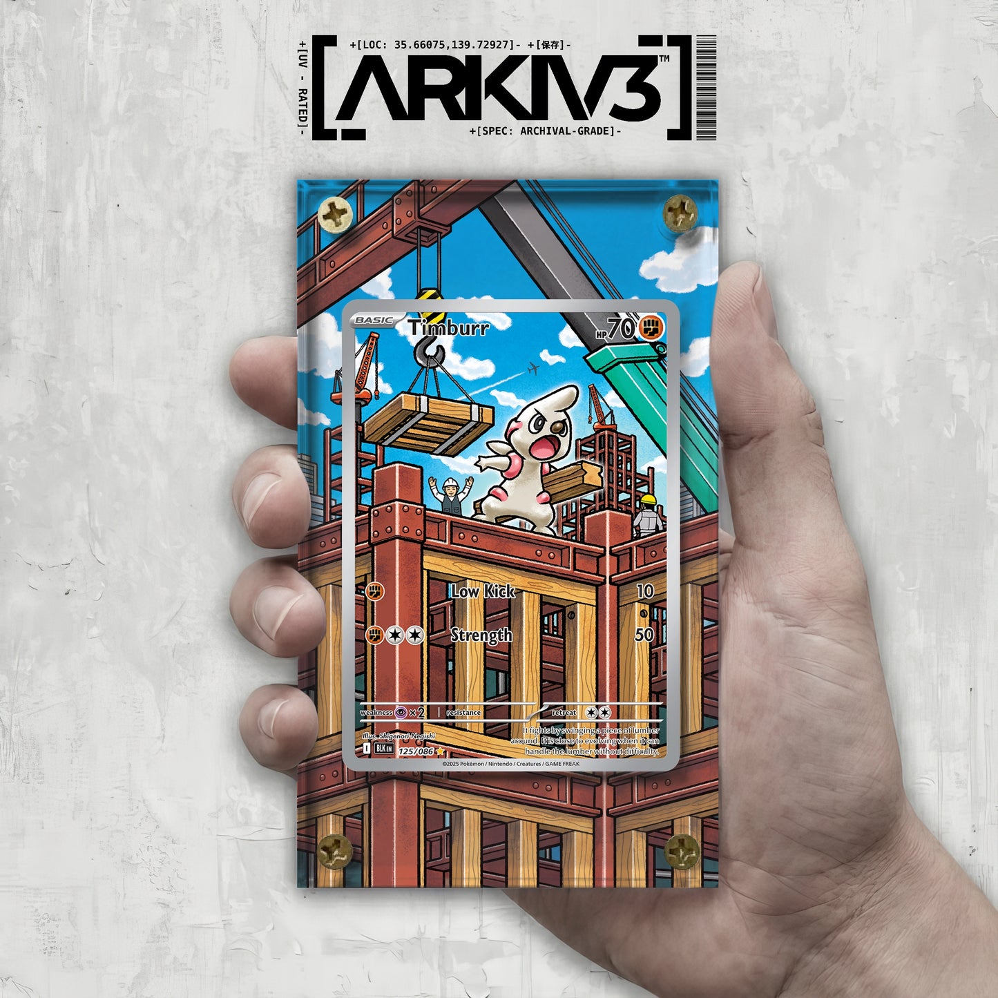 [UNIT: 125/86] // Timburr Extended Art Display Case - Raw