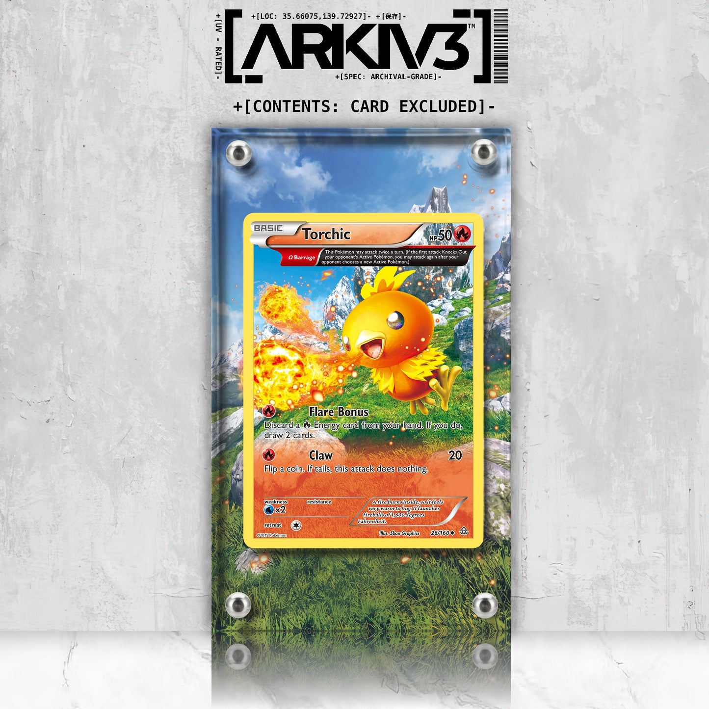 [UNIT: 26/160] // Torchic Extended Art Display Case - Raw