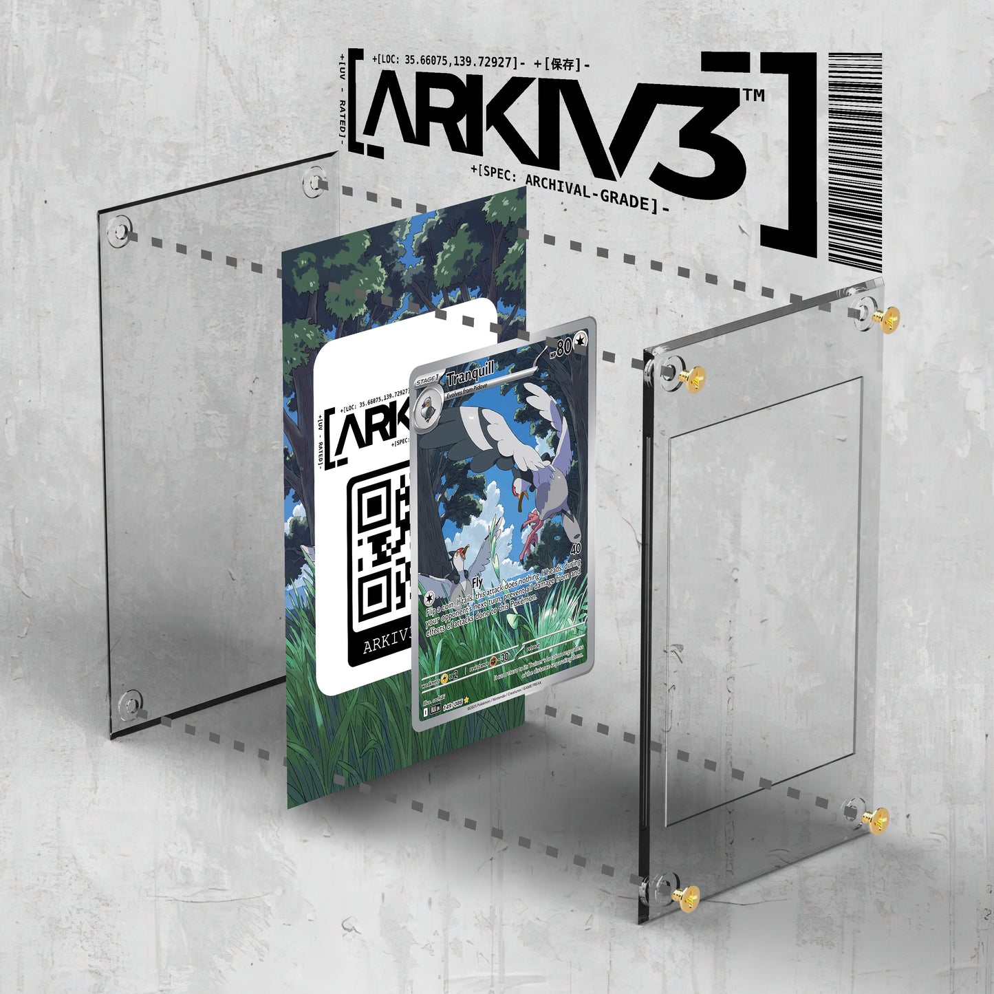 [UNIT: 149/86] // Tranquill Extended Art Display Case - Raw