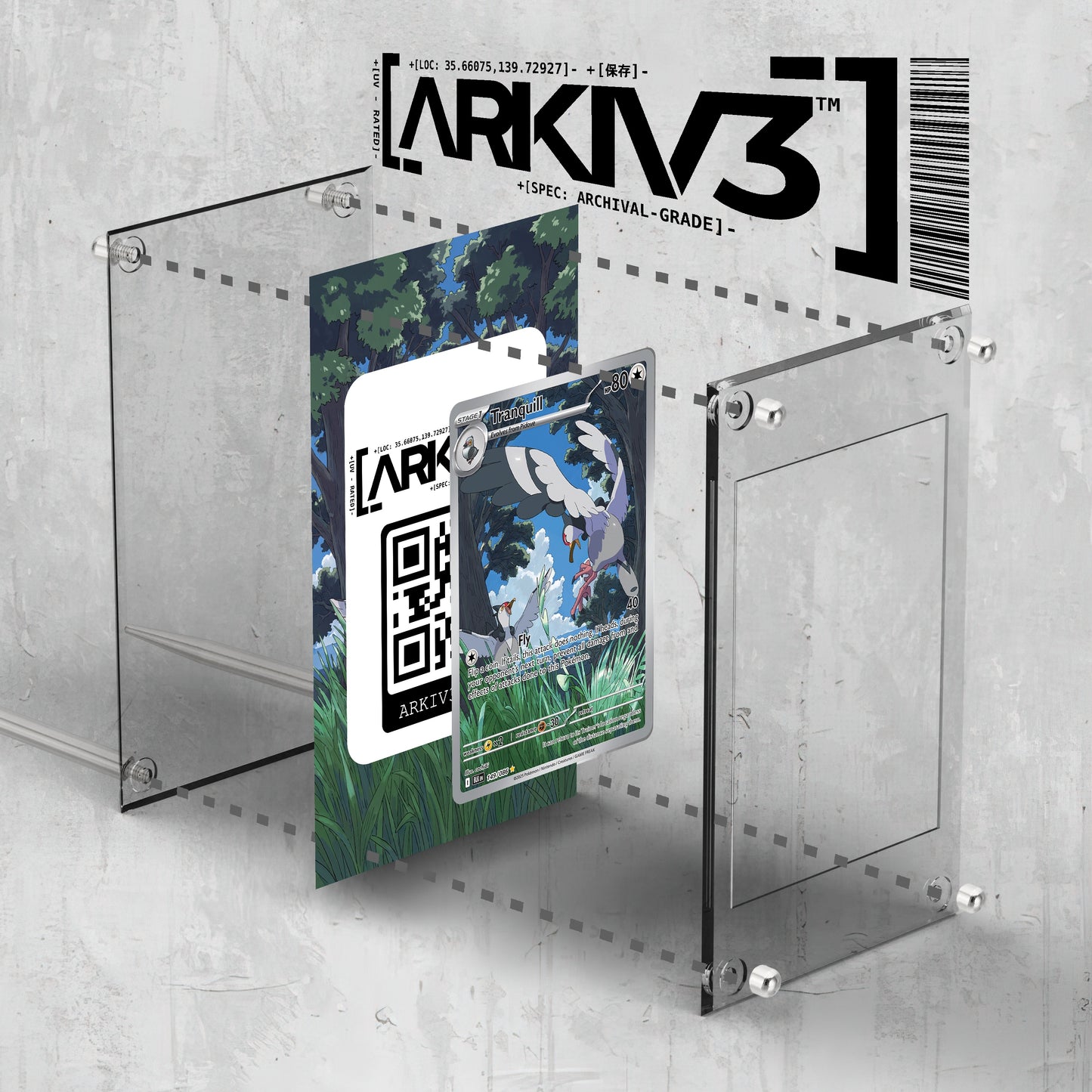 [UNIT: 149/86] // Tranquill Extended Art Display Case - Raw