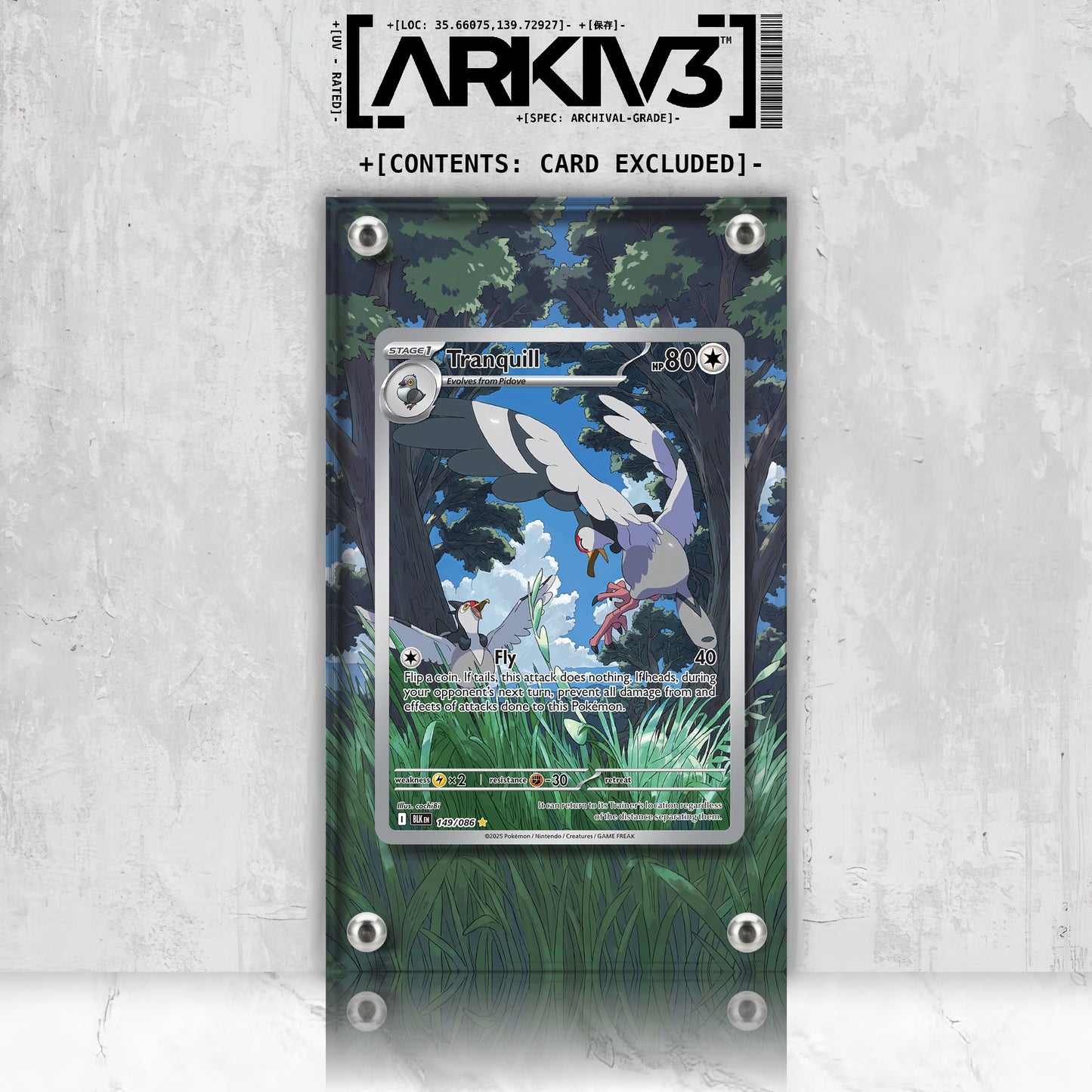 [UNIT: 149/86] // Tranquill Extended Art Display Case - Raw