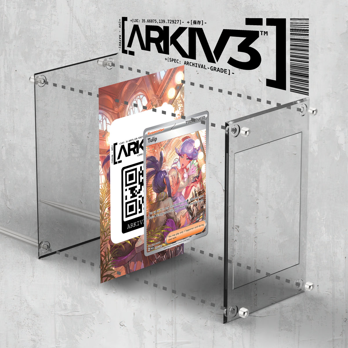 [UNIT: 259/182] // Tulip Extended Art Display Case - Raw
