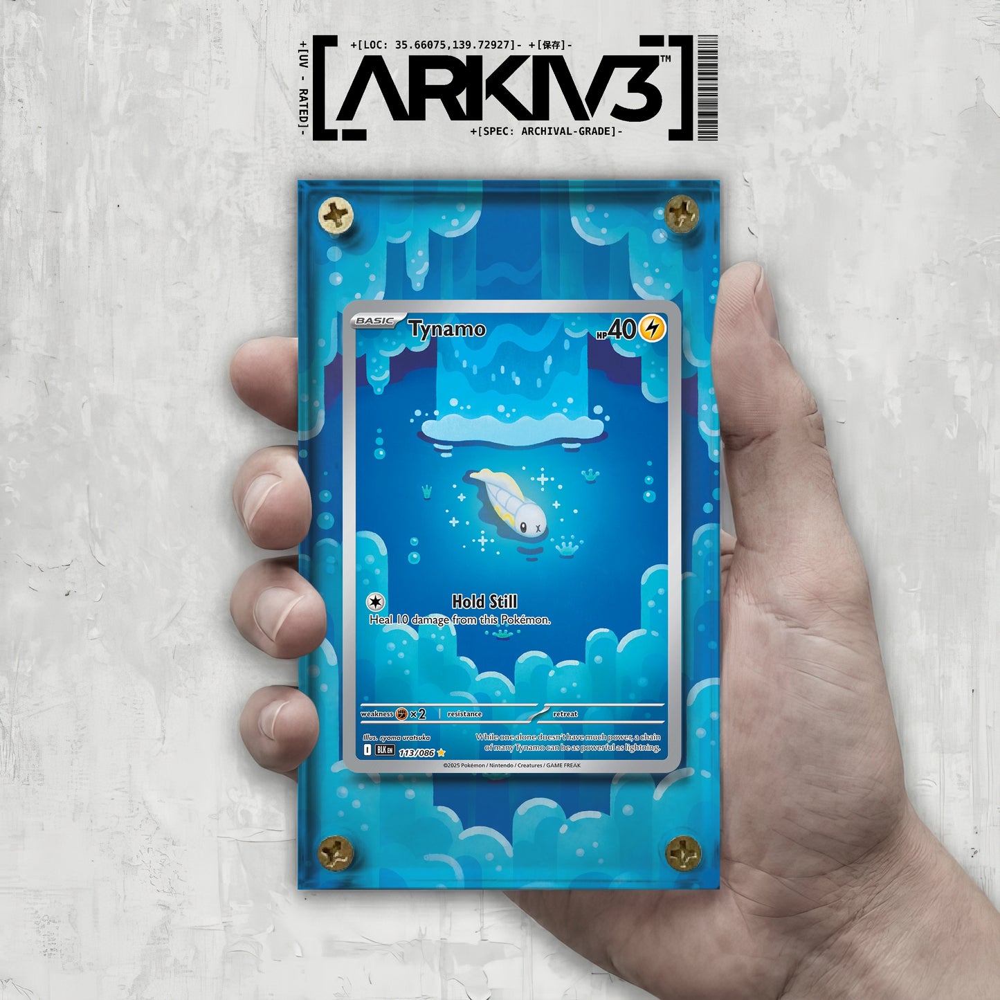 [UNIT: 113/86] // Tynamo Extended Art Display Case - Raw