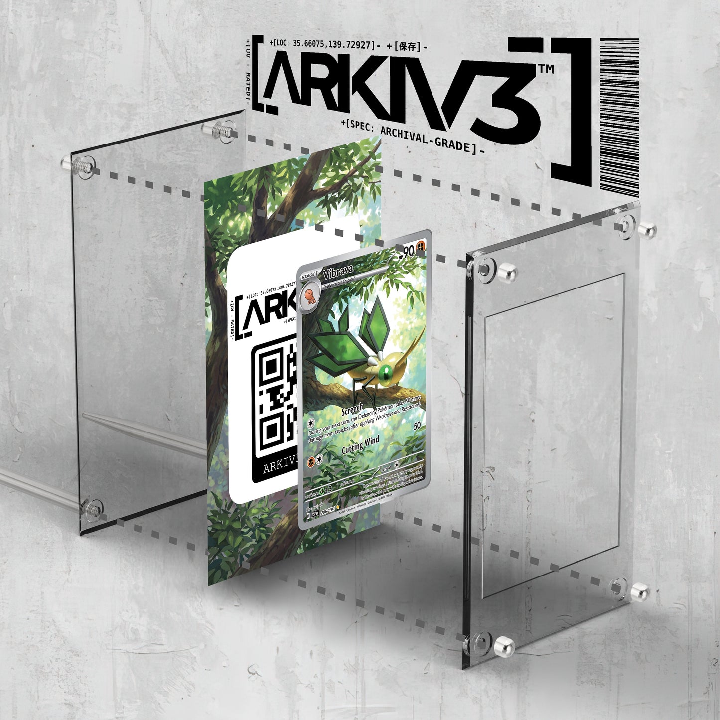 [UNIT: 206/191] // Vibrava Extended Art Display Case - Raw