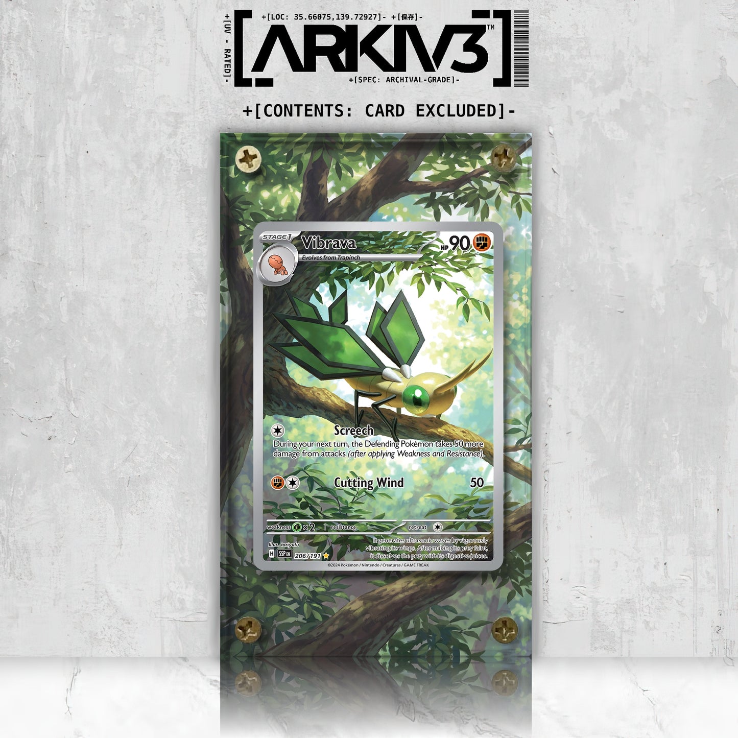 [UNIT: 206/191] // Vibrava Extended Art Display Case - Raw