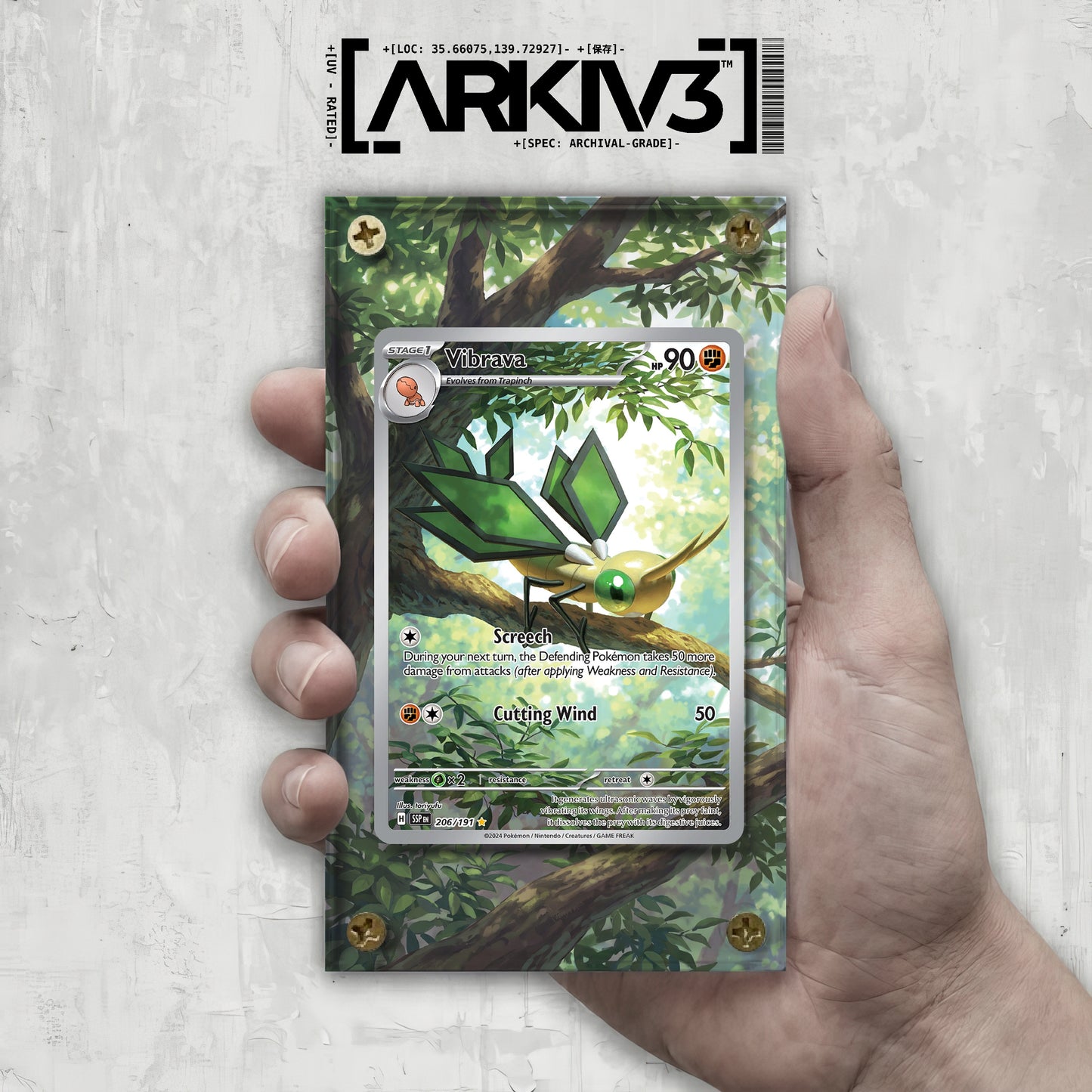 [UNIT: 206/191] // Vibrava Extended Art Display Case - Raw