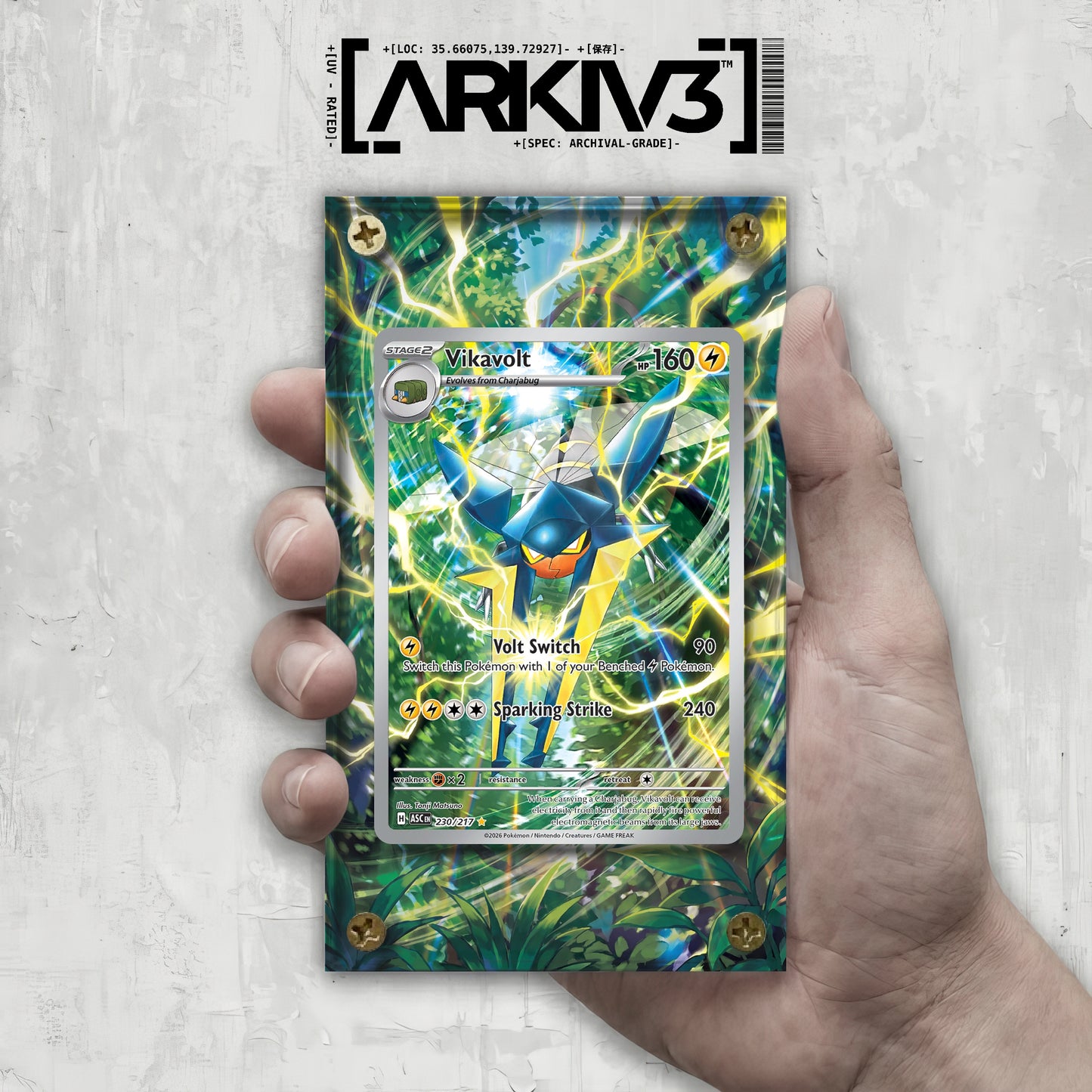 [UNIT: 230/217] // Vikavolt Extended Art Display Case - Raw