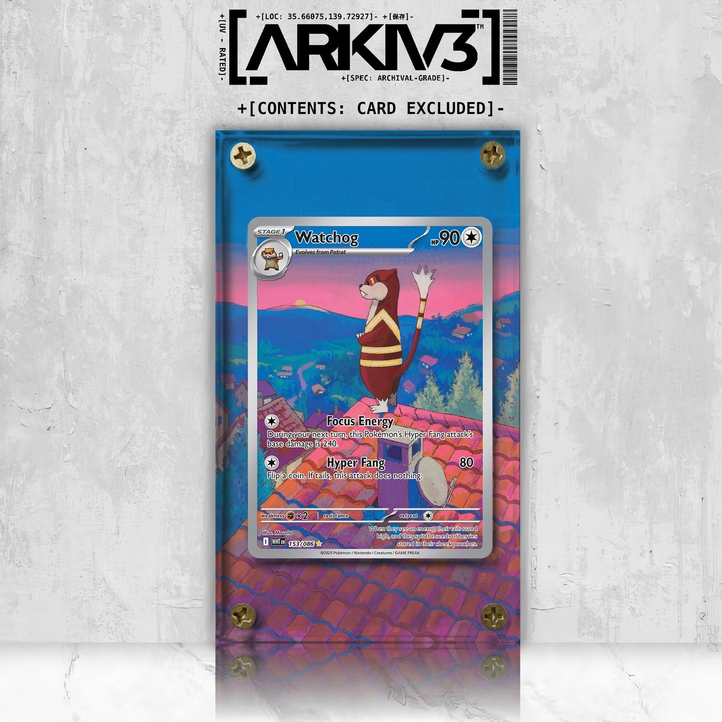 [UNIT: 153/86] // Watchog Extended Art Display Case - Raw