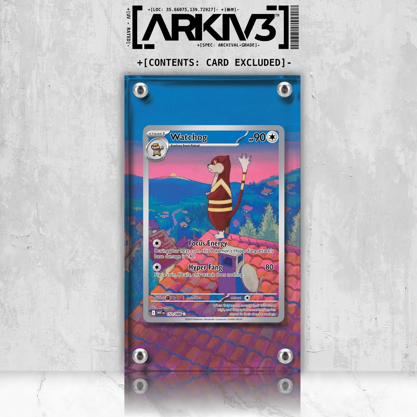 [UNIT: 153/86] // Watchog Extended Art Display Case - Raw