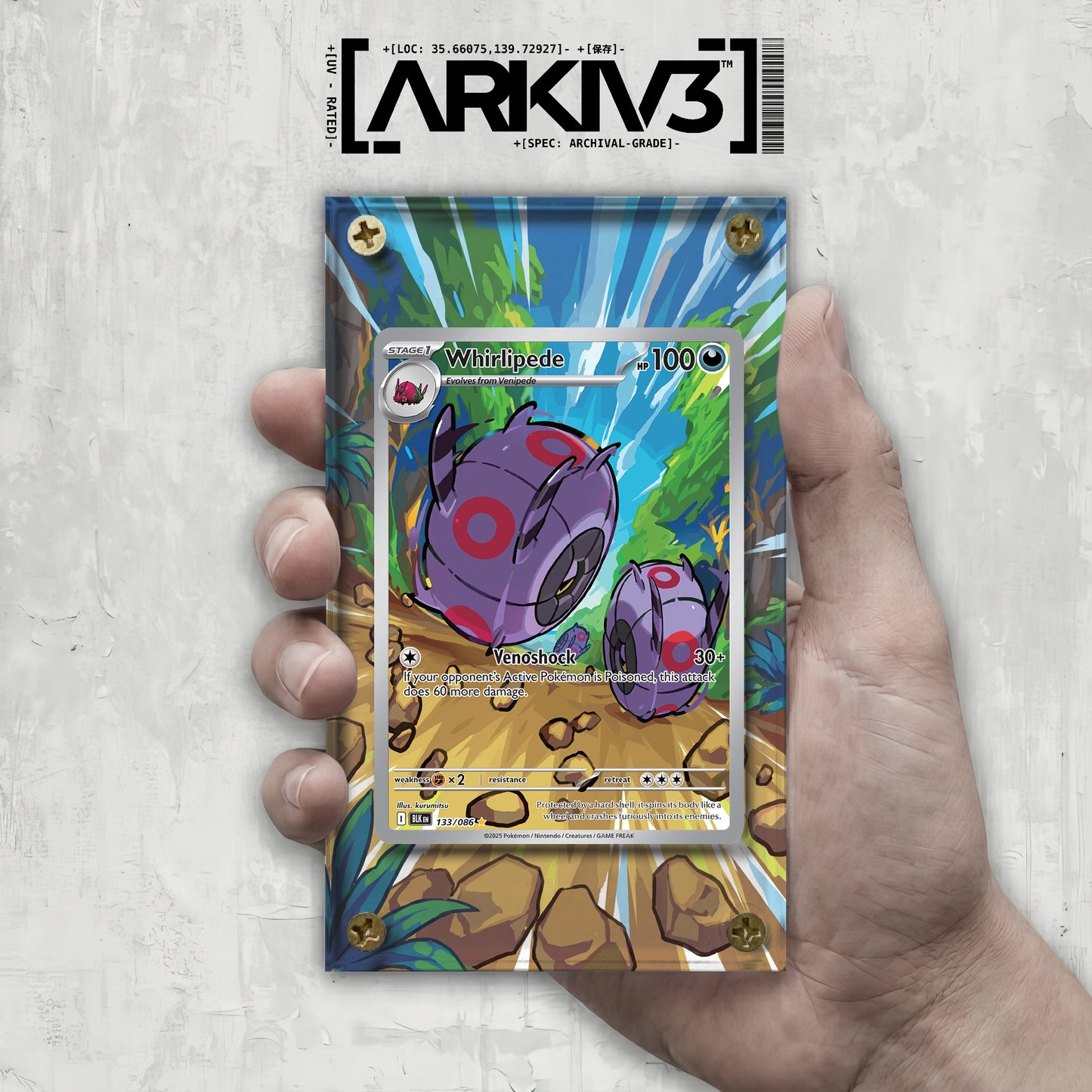 [UNIT: 133/86] // Whirlipede Extended Art Display Case - Raw