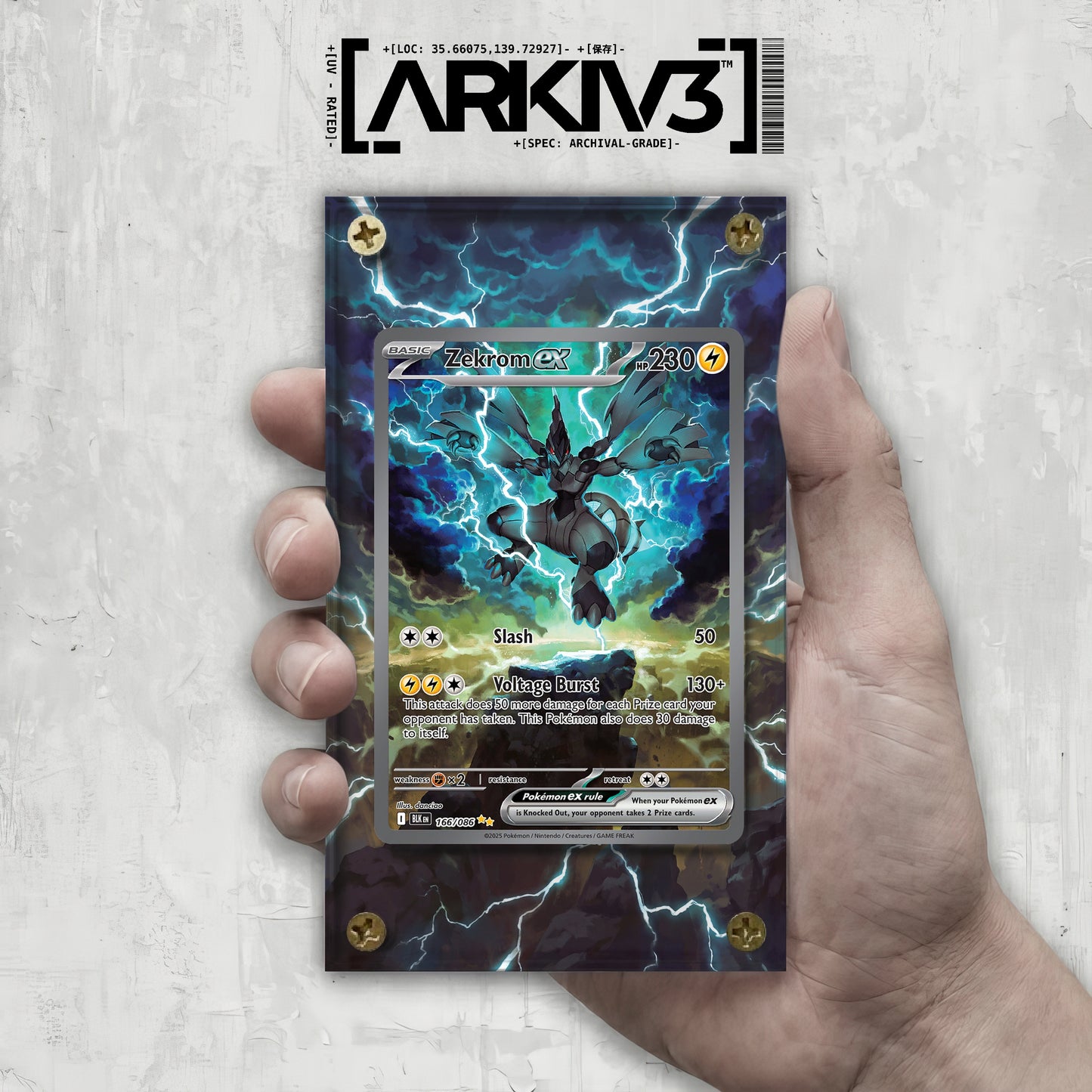 [UNIT: 166/86] // Zekrom ex Extended Art Display Case - Raw