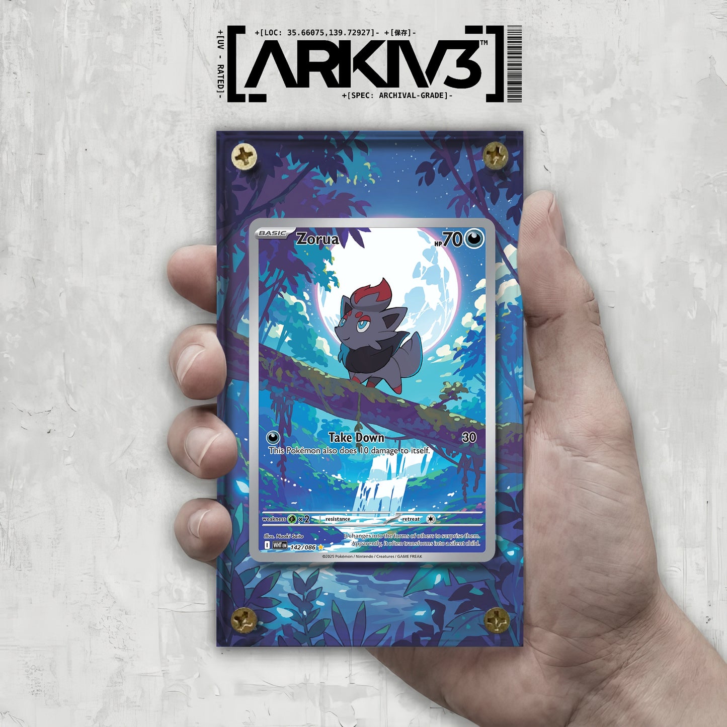 [UNIT: 142/86] // Zorua Extended Art Display Case - Raw
