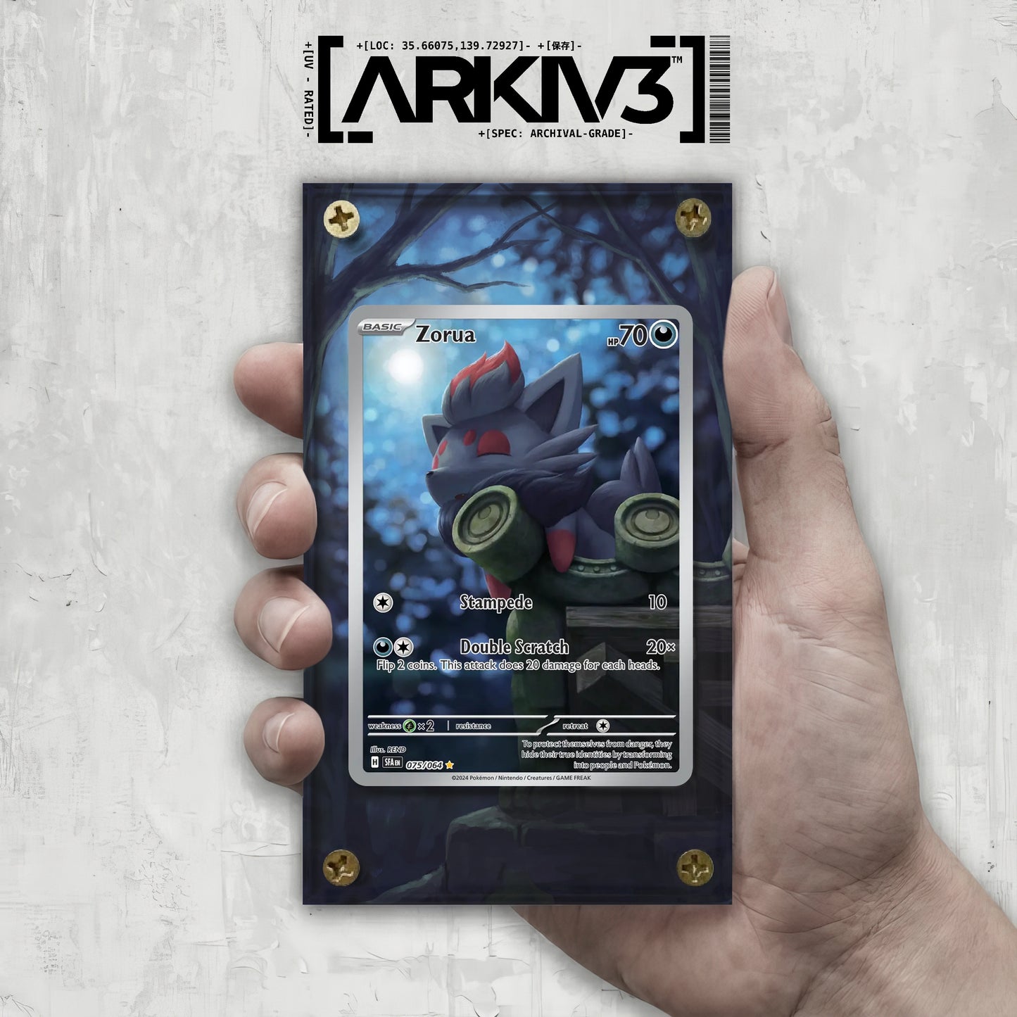 [UNIT: 75/64] // Zorua Extended Art Display Case - Raw